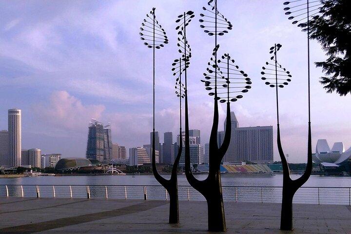 Tour privado de medio día por Singapur con jardín botánico de orquídeas