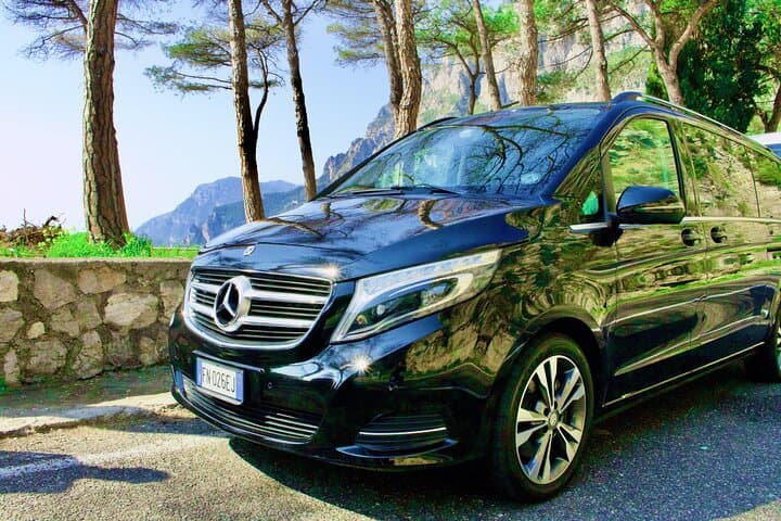 Private tour of Pompeii and Vesuvius from Sorrento or Naples