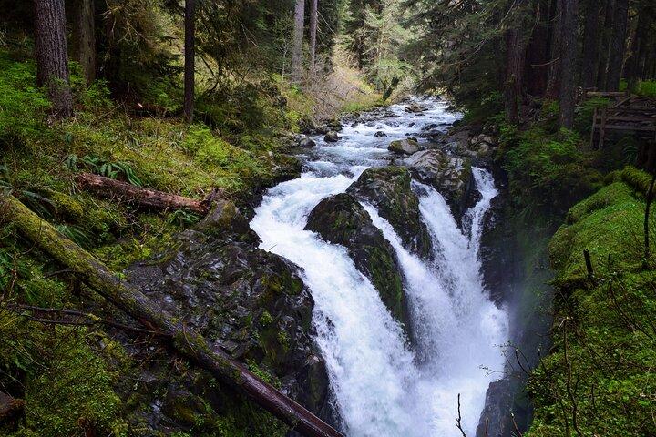 Visite guidée de Sol Duc, du lac Crescent et de Hurricane Ridge dans le parc national olympique