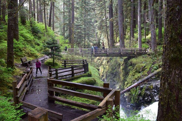 Visite guidée de Sol Duc, du lac Crescent et de Hurricane Ridge dans le parc national olympique