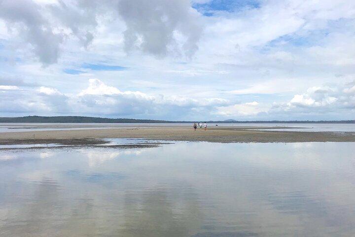 Secrets of Noosa Tour mit Mittagessen mit Meerblick, Natur & Noosa River Ferry