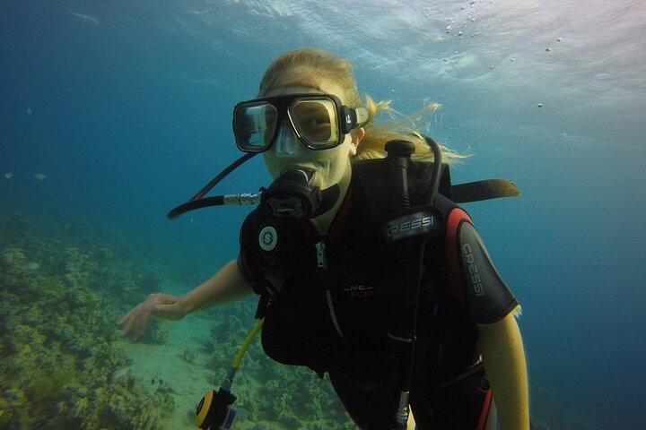 Buceo de introducción – Aqaba Coral Reefs