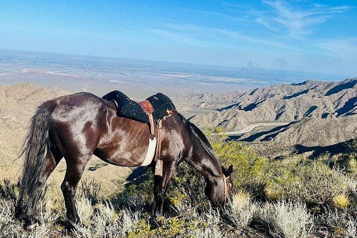 メンドーサの山での乗馬とロースト