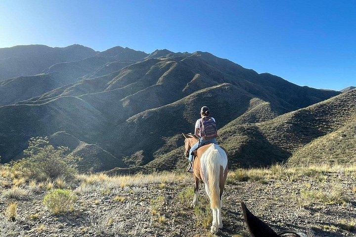 メンドーサの山での乗馬とロースト