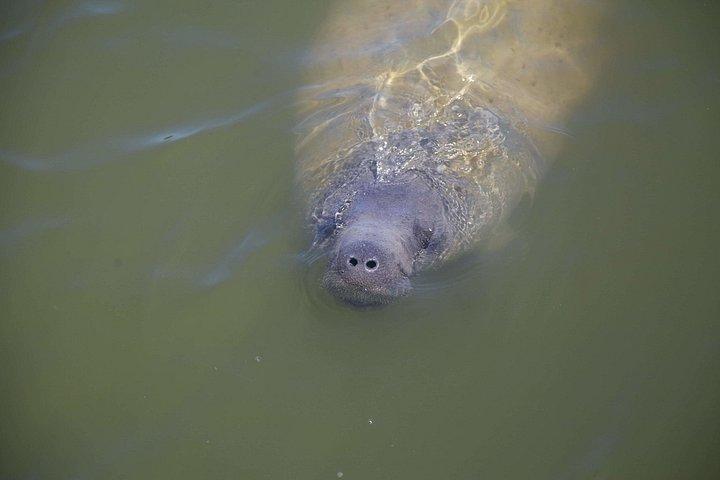 Everglades National Park Biologist Led Adventure: Cruise, Hike + Airboat