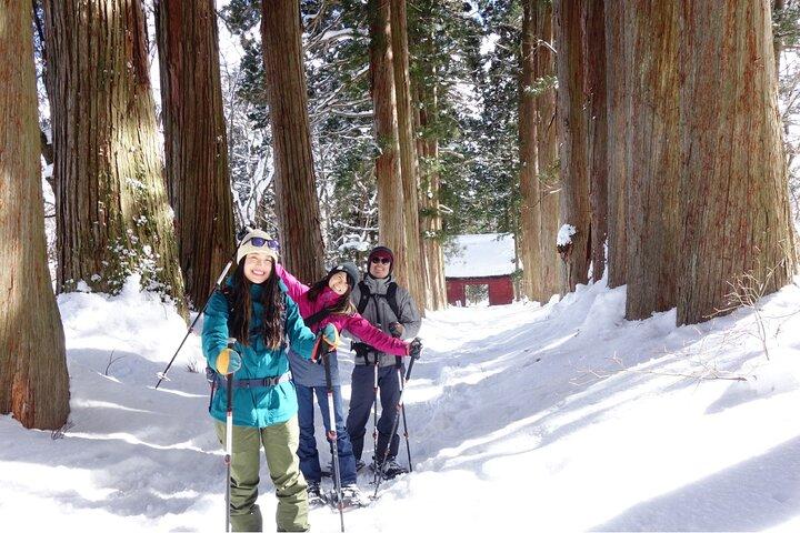 Nagano snesko vandretur