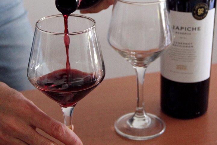 BA : Cata Premium de Vinos Argentinos y Malbec en Palermo