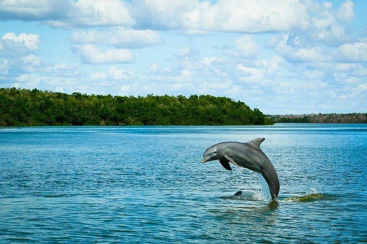Everglades National Park Biologist Led Adventure: Cruise, Hike + Airboat