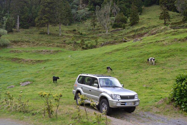 Halbtägige private Tour nach Sete Cidades von Ponta Delgada