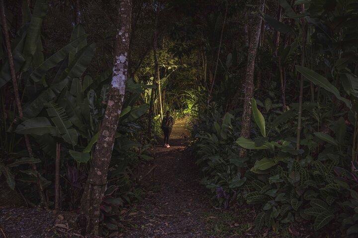 Ecogarden Arenal Night Walk