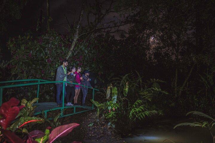 Ecogarden Arenal Night Walk