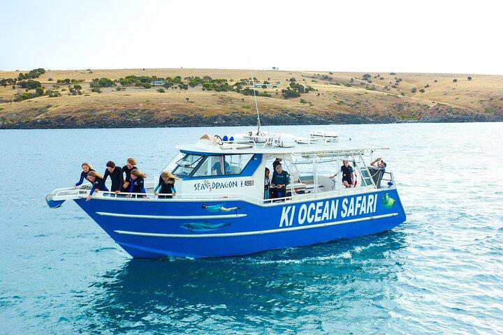 Kangaroo Island: nuota con i delfini/foche/snorkeling costiero