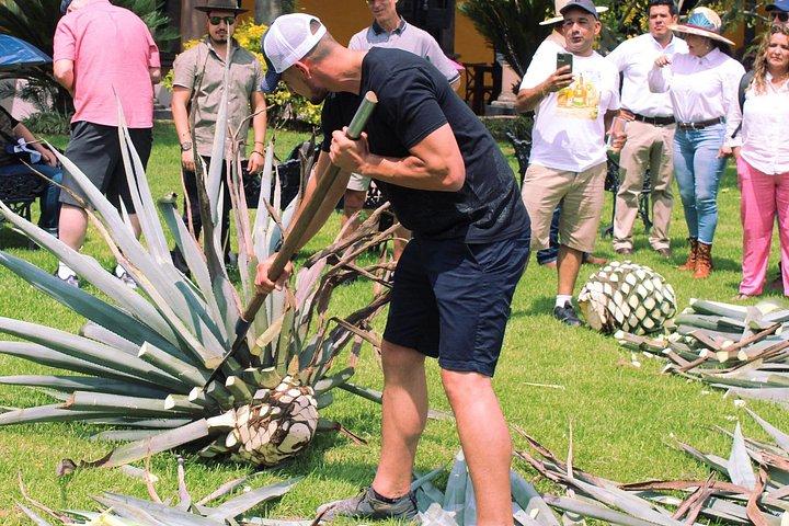 Private Adventure Day Tour in Tequila and Tequilera Cava de Oro