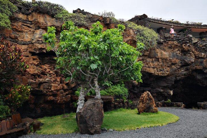 Tour zum Aussichtspunkt Jameos del Agua und zum Tal der 1000 Palmen für Kreuzfahrtpassagiere
