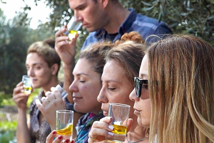 Bio Farm Private Olive Oil Tasting, Farm to Fork Meal & Temple of Poseidon Tour