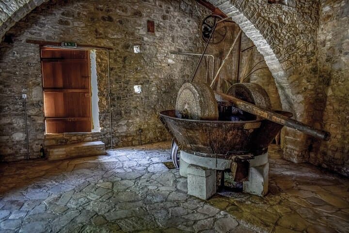 Bio Farm Private Olive Oil Tasting, Farm to Fork Meal & Temple of Poseidon Tour