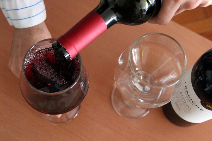 BA: degustação de vinhos argentinos premium e Malbec em Palermo