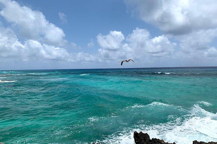 Full-Day Tour Cozumel en Catamarán con Snorkel en el Cielo & Kuza