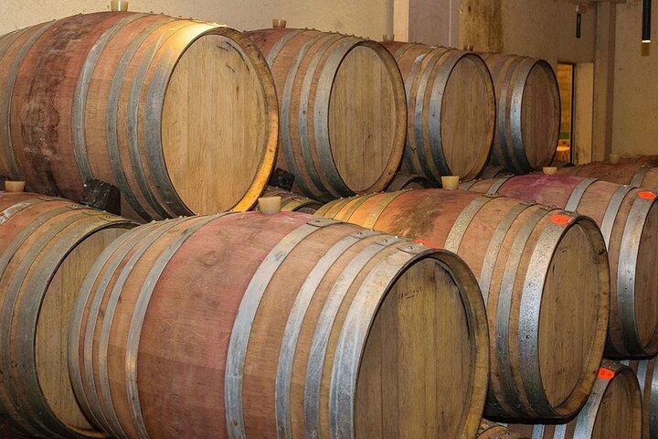 Kretische Wein- und Olivenöl-Tour