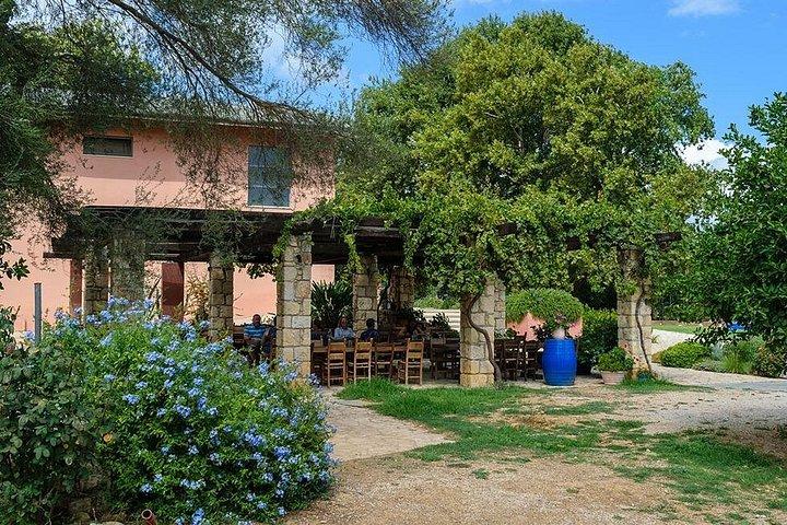 Kreta vin och olivolja turné