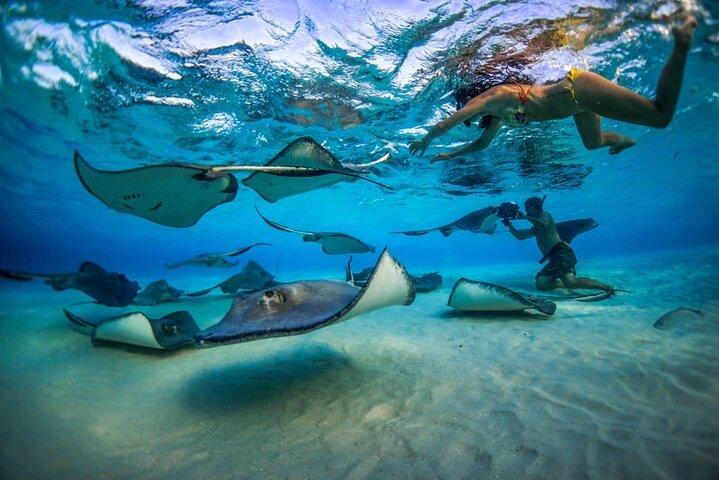 Avventura in 2 fermate: Stingray City e snorkeling a Cayman Reefs