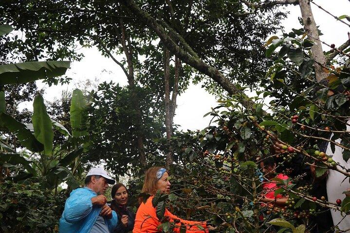 Salkantay Trek 5D/4N - Eventyrvandring til Machu Picchu