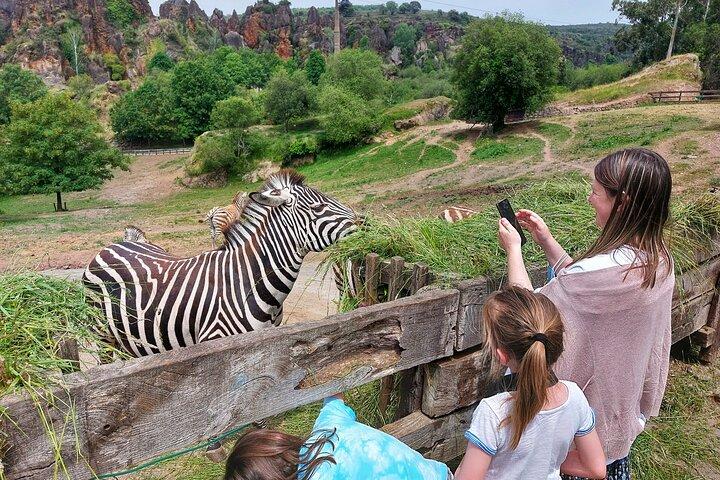 Visita guiada ao Parque Natural de Cabarceno a partir de Santander