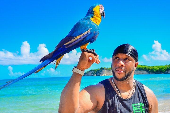Avventura in fuoristrada 4x4 di mezza giornata a Punta Cana