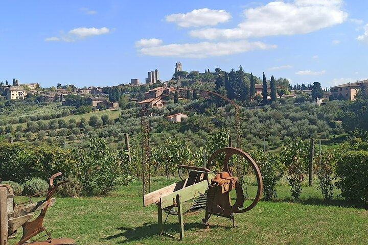 "Douces collines du Chianti et San Gimignano" avec déjeuner et 2 dégustations