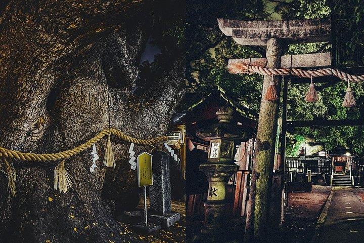 大阪・京都・奈良の隠れた名所 - 地元ガイドによる専用車ツアー
