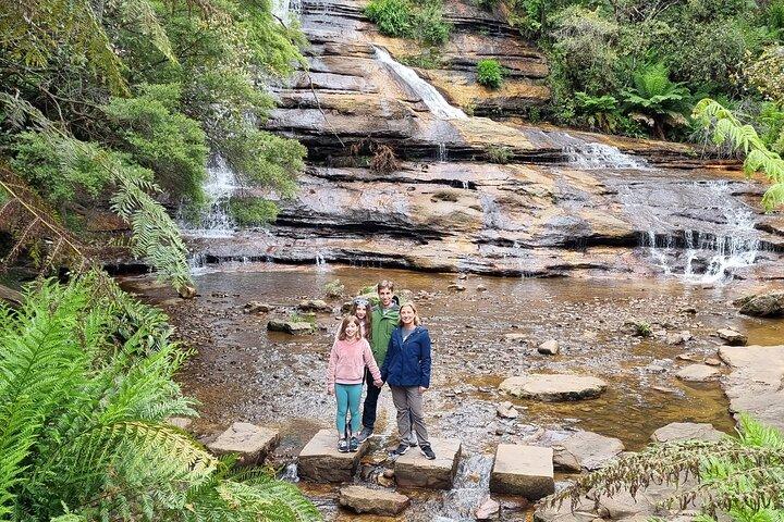Blue Mountains | Tour privato di koala, canguri e Bondi Beach