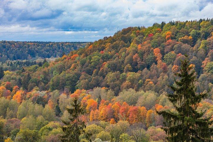 Sigulda - Lettlands Schweiz och Gauja nationalpark Tour
