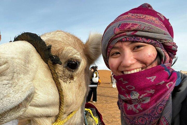 Tour di 3 giorni da Marrakech a Merzouga con Camel Trek