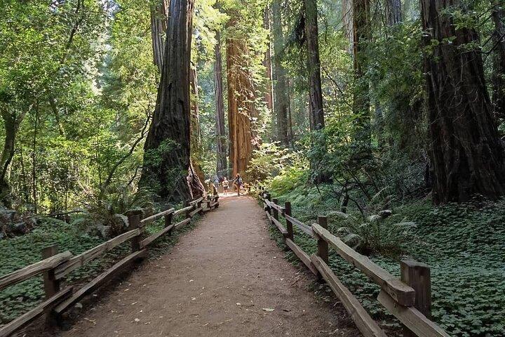 Alcatraz Plus Muir Woods och Sausalito Combo Tour