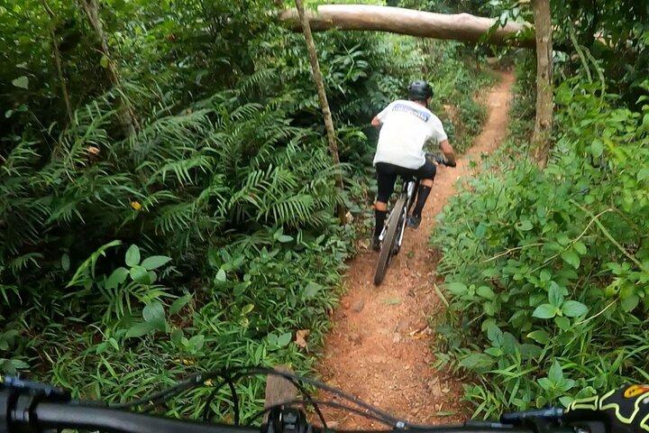 Tour en bicicleta de montaña - Cairns