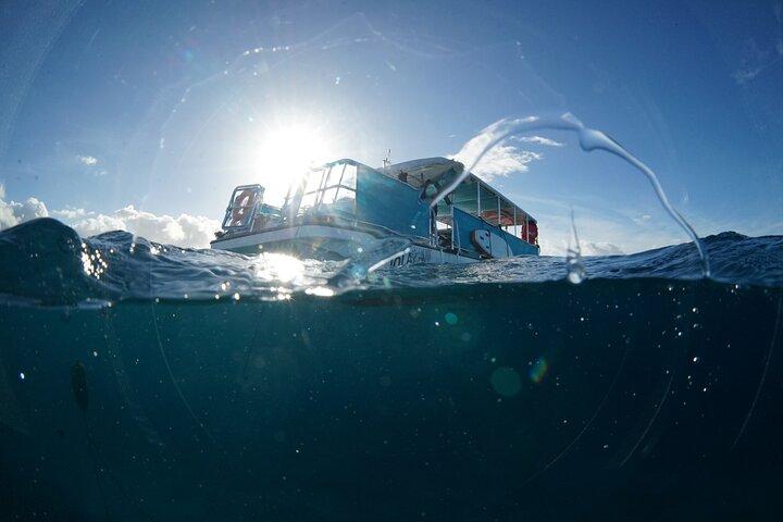 Waikiki Snorkel Tour