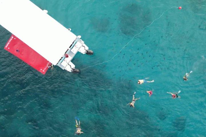 Waikiki Snorkel Tour