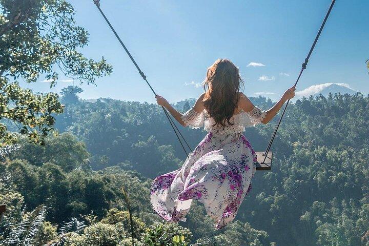 Ubud privat heldagstur