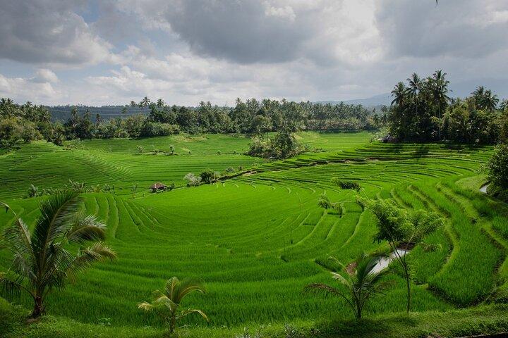 Excursión privada de día completo a Bali del Norte con WiFi gratis
