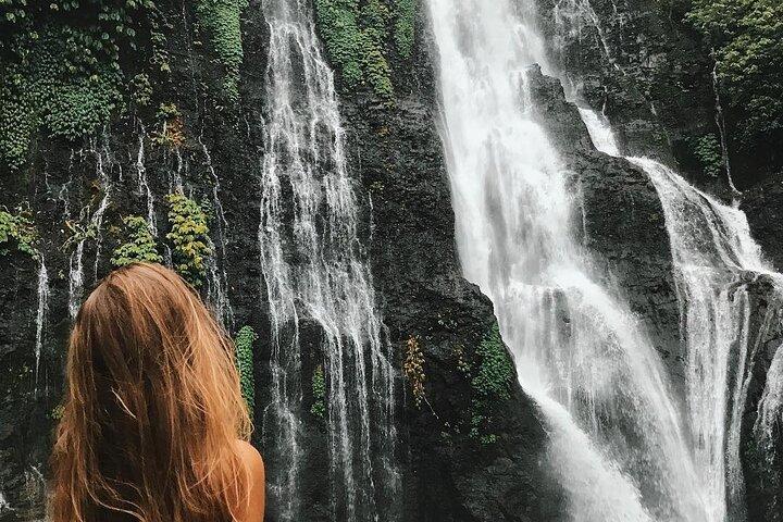 Excursión privada de día completo a Bali del Norte con WiFi gratis