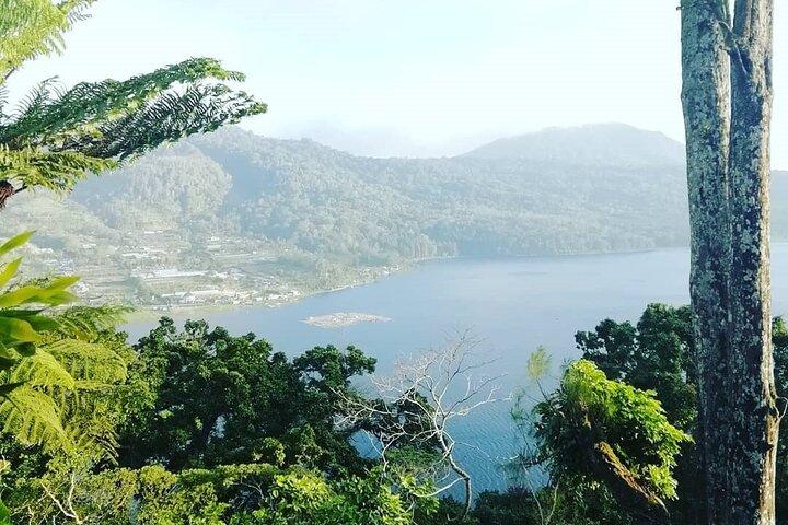 Excursión privada de día completo a Bali del Norte con WiFi gratis