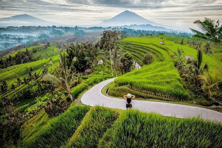 Excursión privada de día completo a Bali del Norte con WiFi gratis