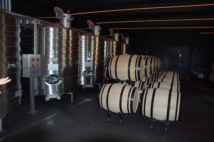 Visita guiada privada em Champagne saindo de Paris com visita à Moet&Chandon.