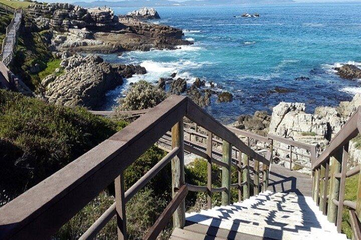 Excursion privée d'une journée complète au Cap Agulhas