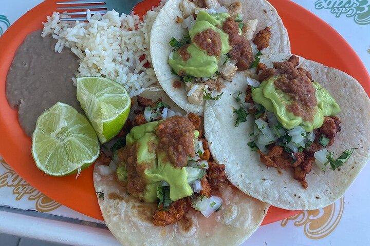Tour della città di Cabo, degustazione di tequila, crociera snorkeling e pranzo