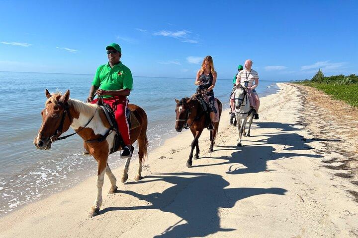 Horseback "SPECIAL"- Negril's Beach Ride N' Swim med gratis billeder/videoer