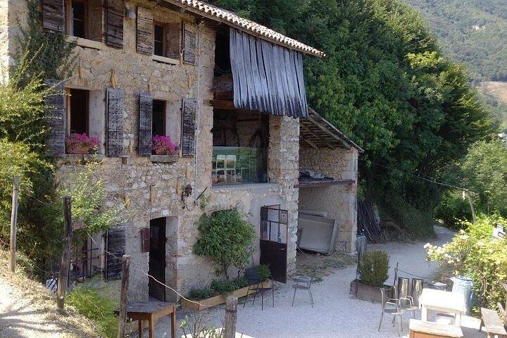 Prosecco Wine Tour com Sommelier – Pick-up de Treviso