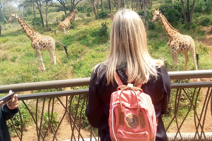 Private Tour in Giraffe Centre and Bomas of Kenya