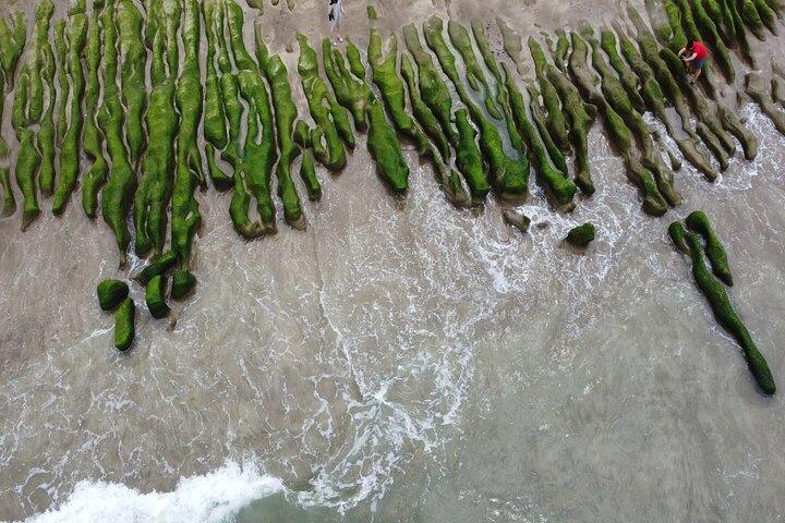 Tour privato di un giorno a Laomei Green Reef da Taipei