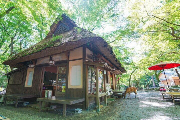Nara Halbtagesausflug zu Fuß (Private Option verfügbar)